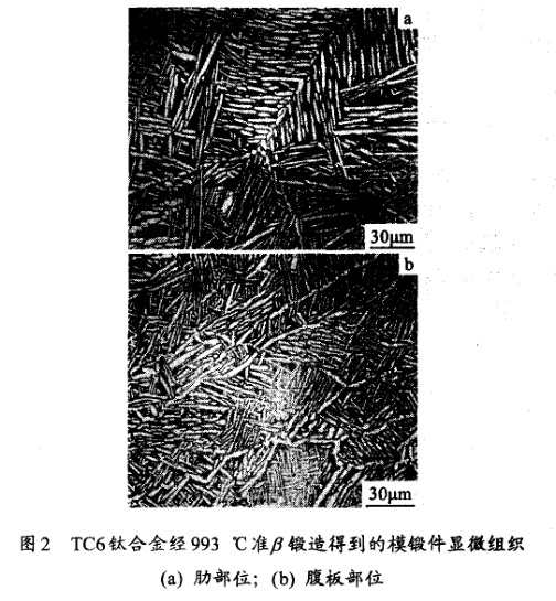 TC6鈦合金經(jīng)993 ℃準(zhǔn)鍛造得到的模鍛件顯微組織(a) 肋部位；(b) 腹板部位